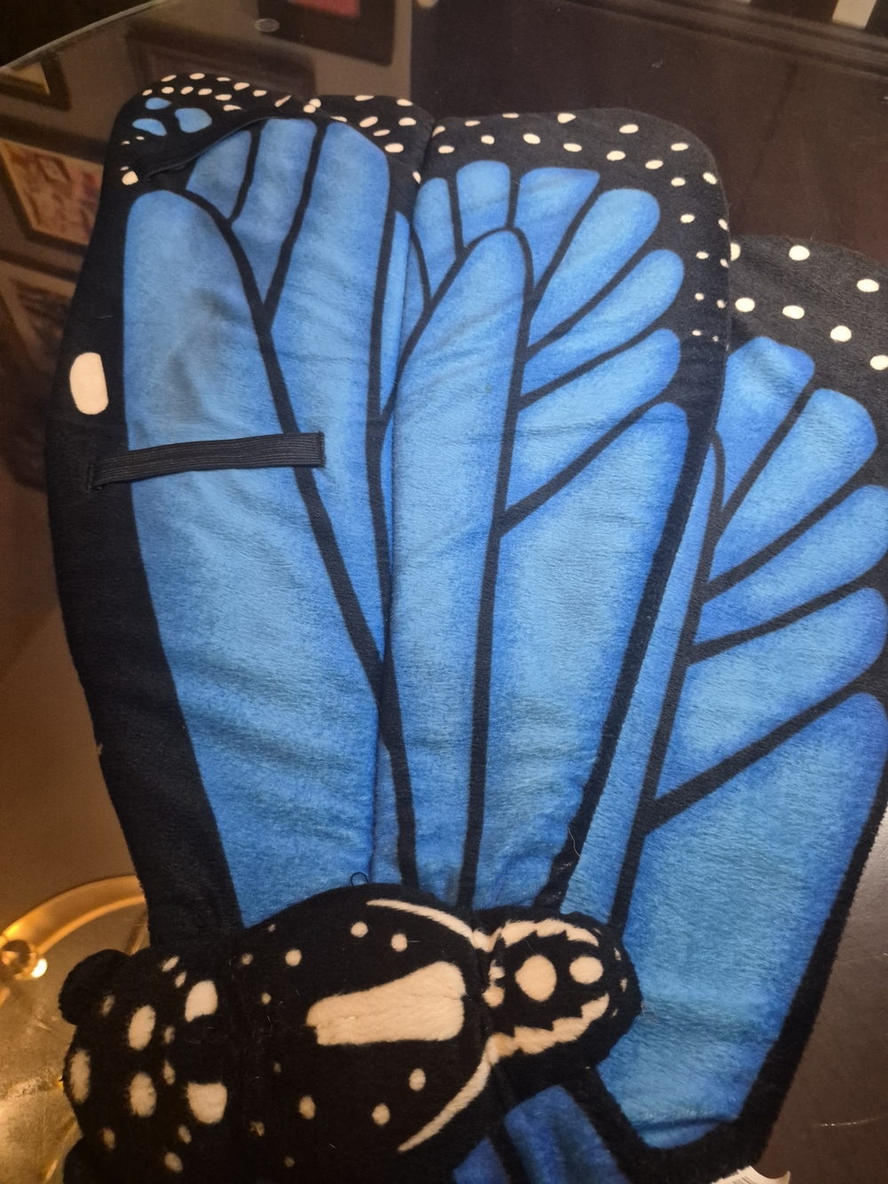 Blue Butterfly Wings
